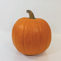 Pumpkin Hannibal F1 Seed