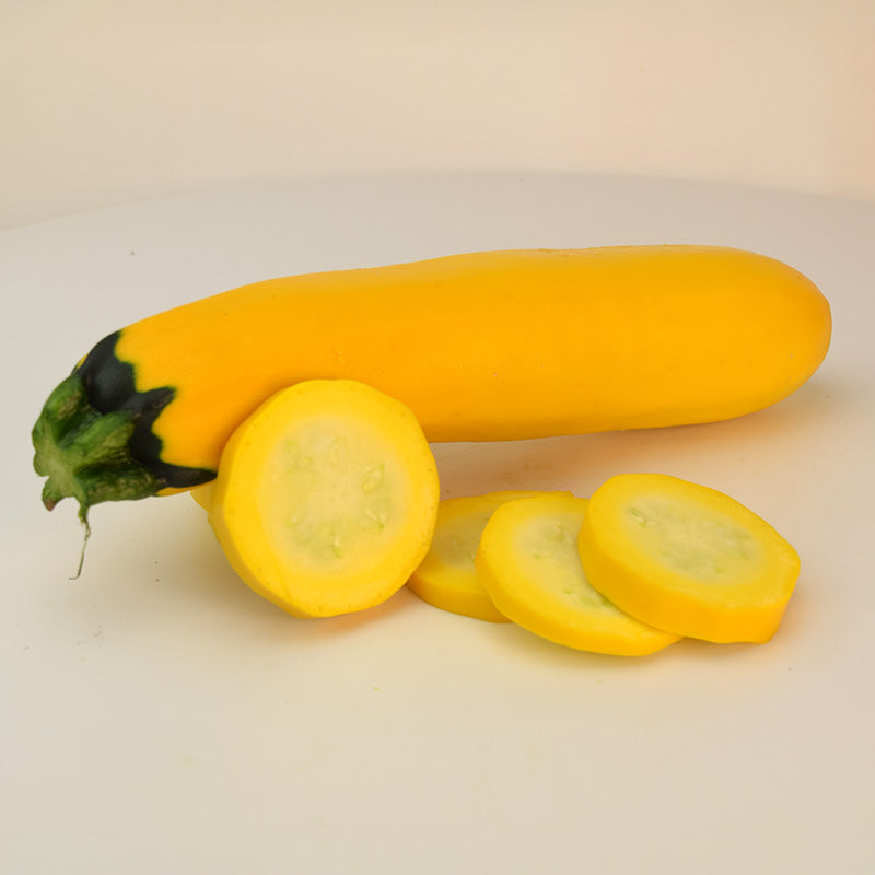 Squash Golden Glory F1 Seed