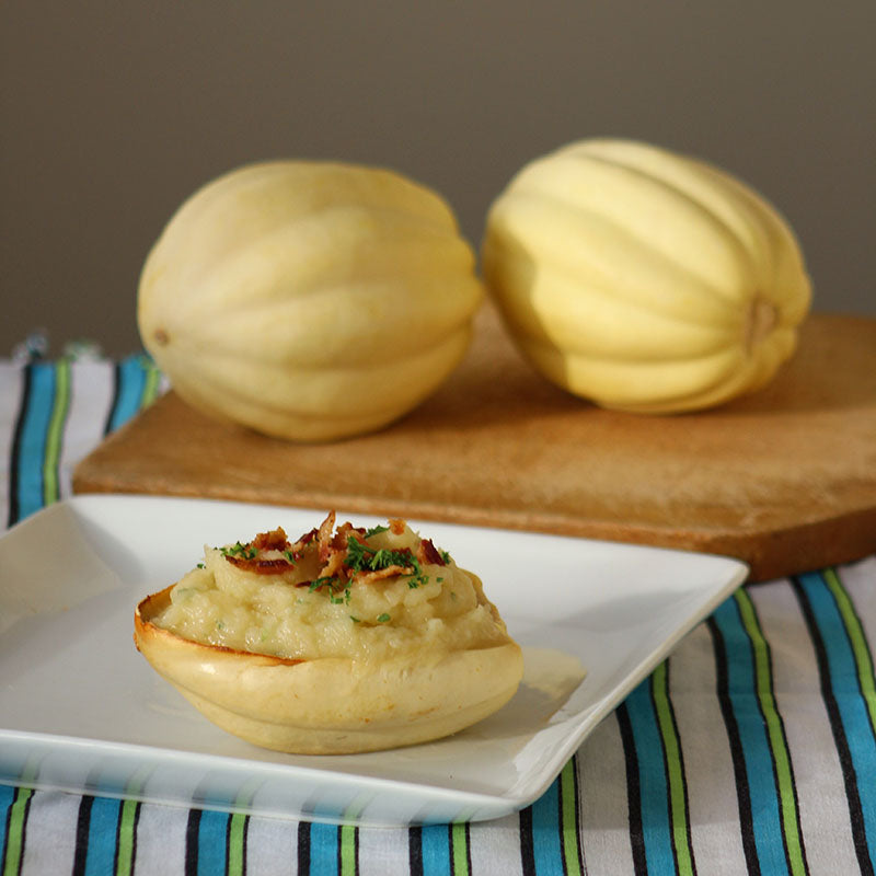 Squash Mashed Potatoes F1 Seed