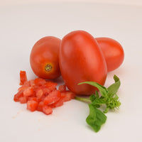 Tomato Plum Regal F1 Seed