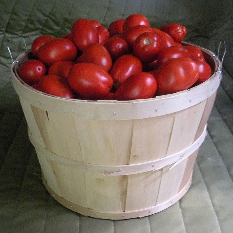 Tomato Plum Regal F1 Seed