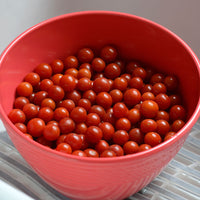 Tomato Candyland Seed