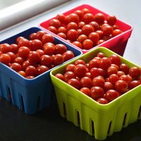 Tomato Candyland Seed