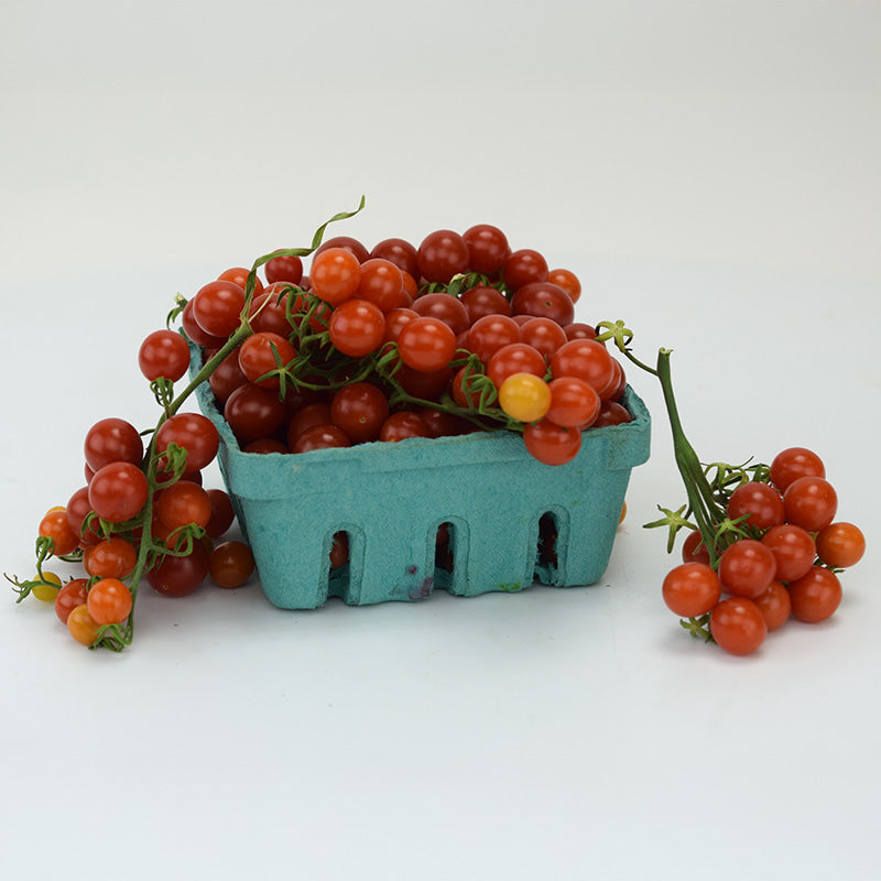Tomato Candyland Seed