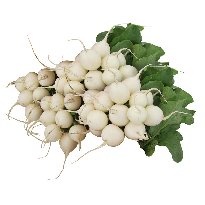Radish Pearl Organic Seed