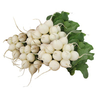 Radish Pearl Organic Seed