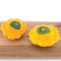 Squash Y-Star Patty Pan F1 Organic Seed
