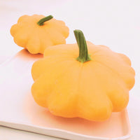 Squash Y-Star Patty Pan F1 Organic Seed