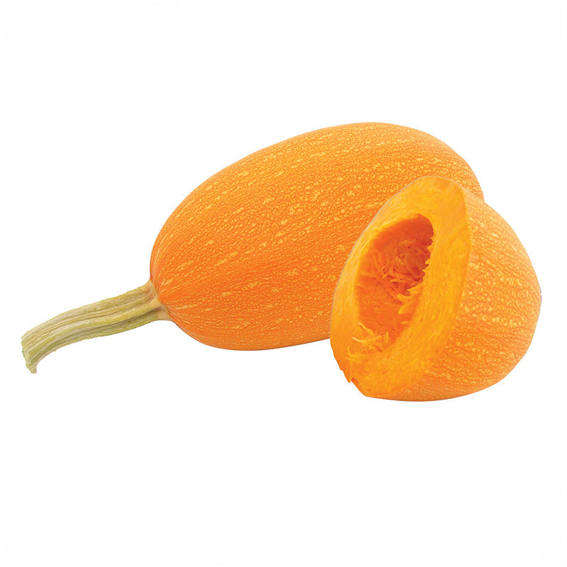 Squash Orangeti F1 Organic Seed