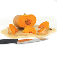Squash Butterkin F1 Seed