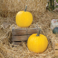 Pumpkin Mellow Yellow F1 Seed