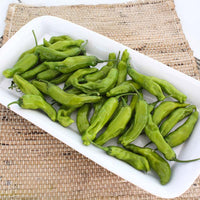 Pepper Takara F1 Seed