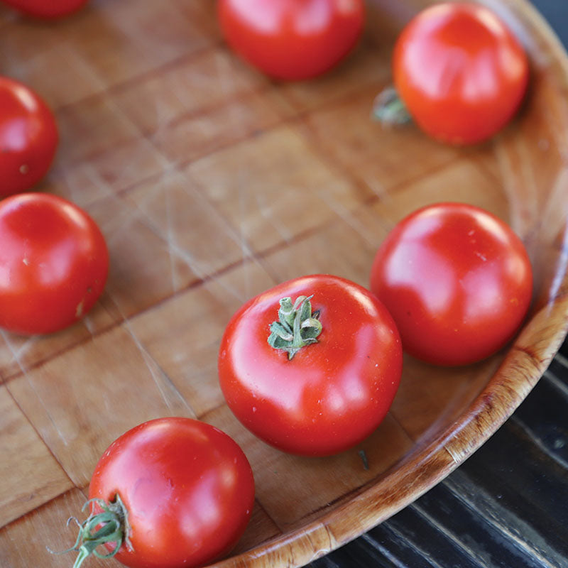 Tomato Red Racer F1 Seed