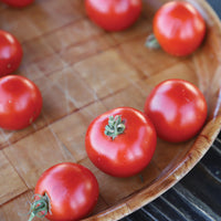 Tomato Red Racer F1 Seed