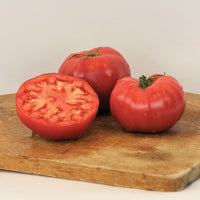 Tomato Damsel F1 Seed