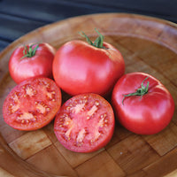Tomato Damsel F1 Seed