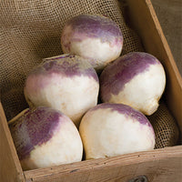 Rutabaga Helenor Organic Seed