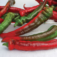 Pepper Jimmy Nardellos Organic Seed