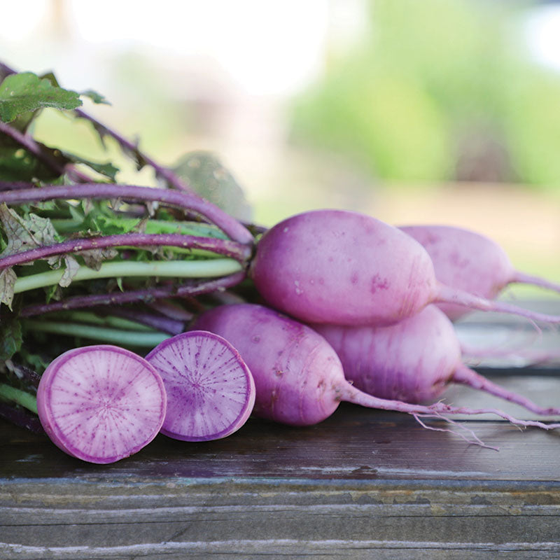 Radish Bluemoon F1 Seed