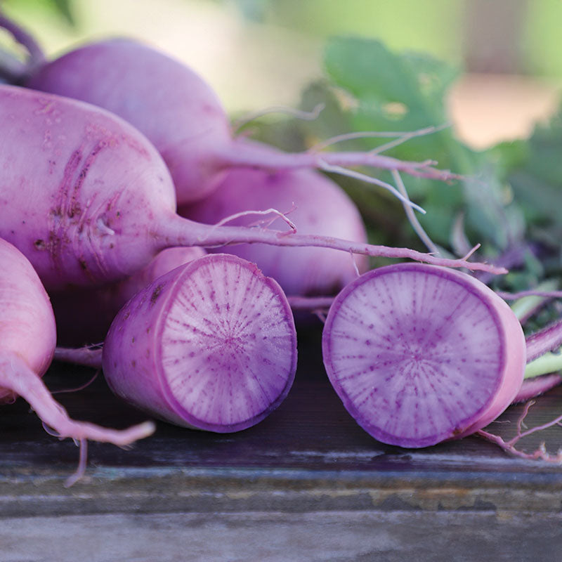 Radish Bluemoon F1 Seed