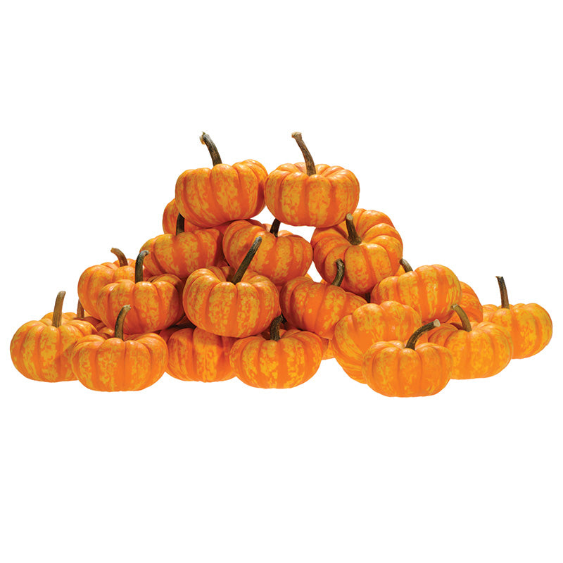 Pumpkin Spark F1 Seed