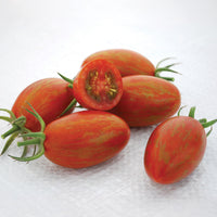 Tomato Bronze Torch F1 Seed