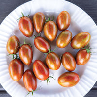 Tomato Bronze Torch F1 Seed