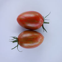 Tomato Bronze Torch F1 Seed