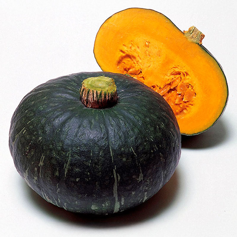 Squash Sweet Mama F1 Seed