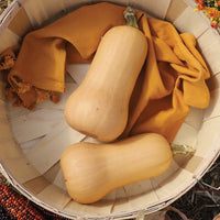 Squash Hamilton Organic Seed