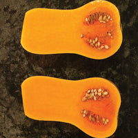 Squash Hamilton Organic Seed
