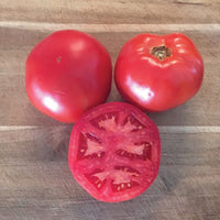 Tomato Galahad F1 Organic Seed