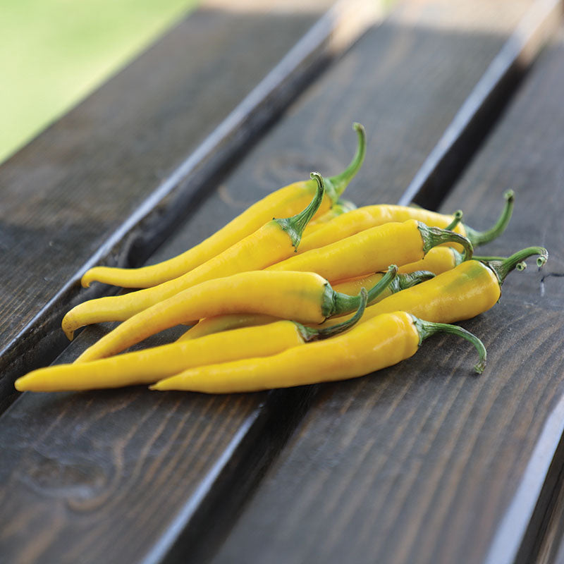 Pepper Golden Cayenne F1 Seed
