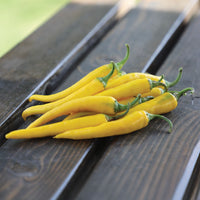 Pepper Golden Cayenne F1 Seed