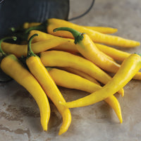 Pepper Golden Cayenne F1 Seed