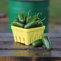 Pepper Bambino F1 Seed