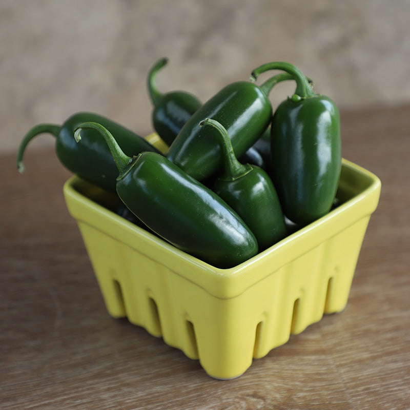Pepper Bambino F1 Seed
