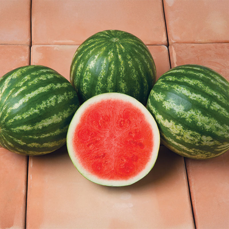 Watermelon Sirius F1 Seed