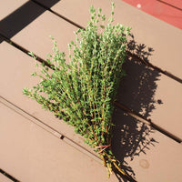 Thyme Ayelet Organic Seed