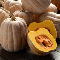 Squash Autumn Frost F1 Seed