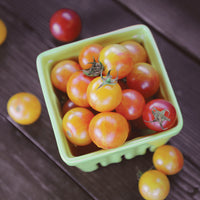 Tomato Tropical Sunset Organic Seed