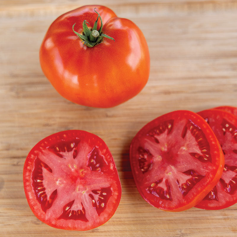 Tomato Roadster F1 Seed