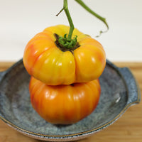 Tomato Buffalosun F1 Seed