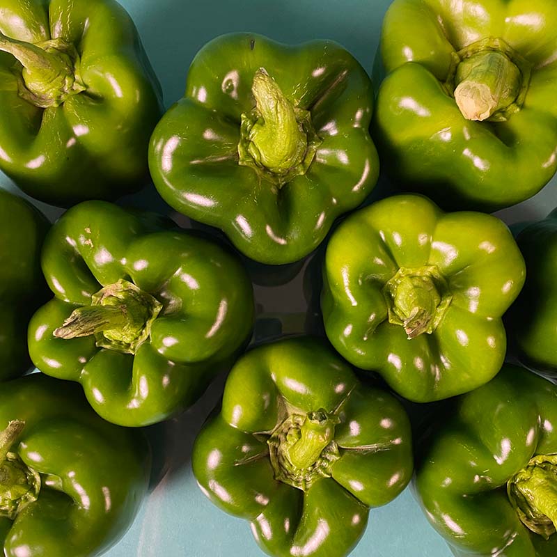 Pepper Captain F1 Seed