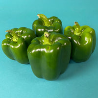 Pepper Captain F1 Seed