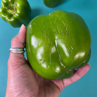 Pepper Olympus F1 Organic Seed