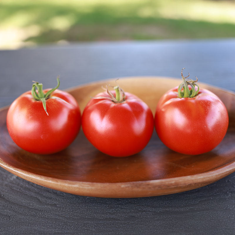 Tomato RuBee Dawn F1 Seed
