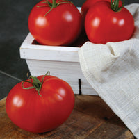 Tomato RuBee Dawn F1 Seed