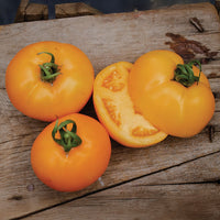 Tomato Bendida F1 Seed