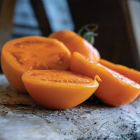 Tomato Bendida F1 Seed